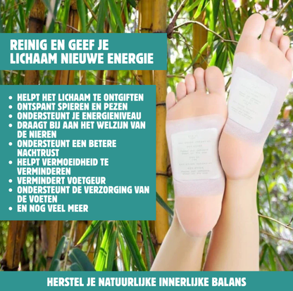 DRVOETZORG™ – Krachtige kruidenpleisters voor verlichting