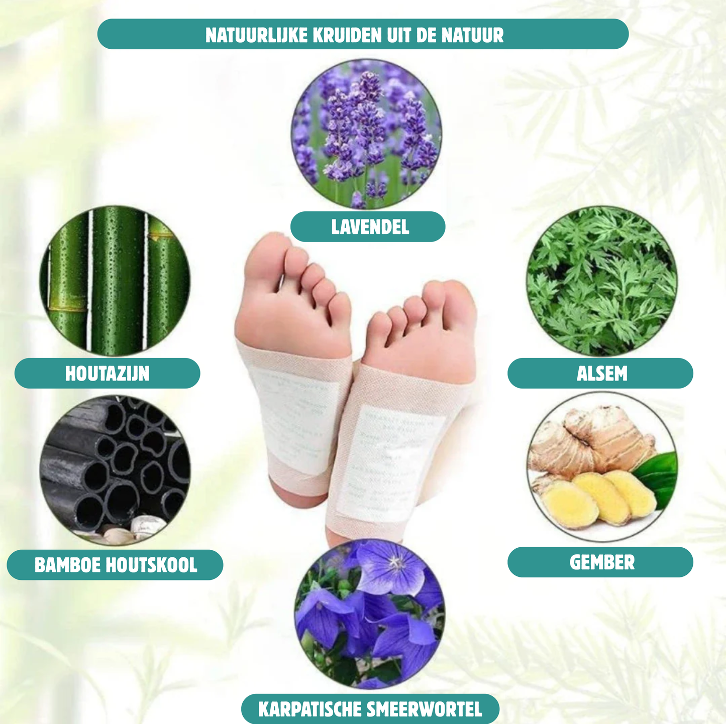 DRVOETZORG™ – Krachtige kruidenpleisters voor verlichting